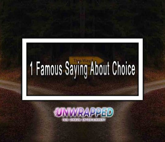 1 Famous Saying About Choice