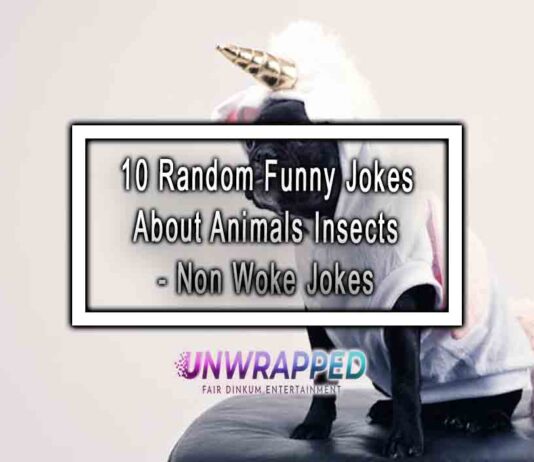 10 Random Funny Jokes About Animals Insects - Non Woke Jokes