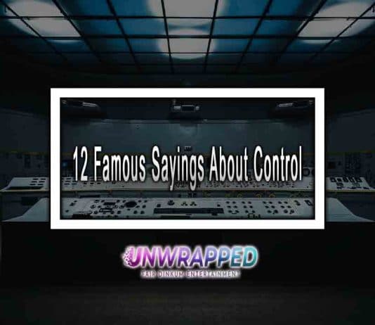 12 Famous Sayings About Control