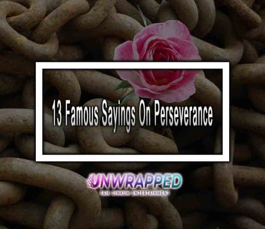 13 Famous Sayings On Perseverance