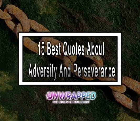 15 Best Quotes About Adversity And Perseverance 15 Best Quotes About Adversity And Perseverance