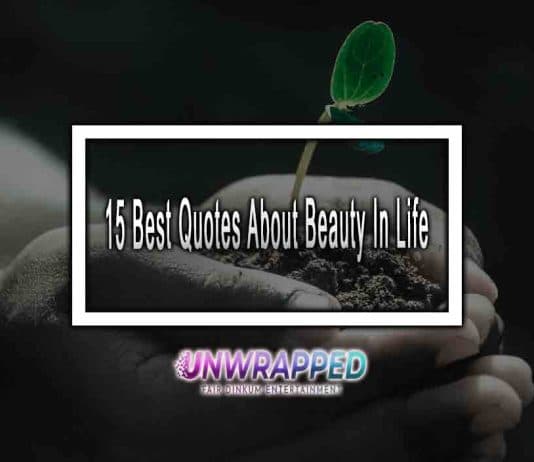 15 Best Quotes About Beauty In Life 15 Best Quotes About Beauty In Life