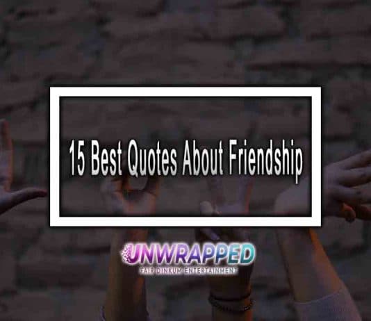 15 Best Quotes About Friendship
