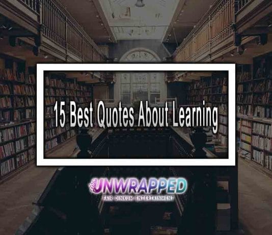 15 Best Quotes About Learning