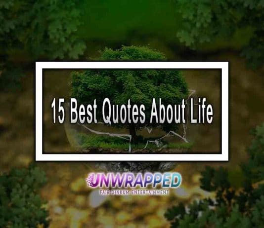15 Best Quotes About Life
