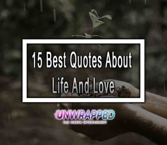 15 Best Quotes About Life And Love