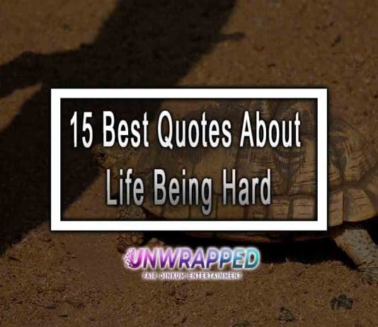 15 Best Quotes About Life Being Hard