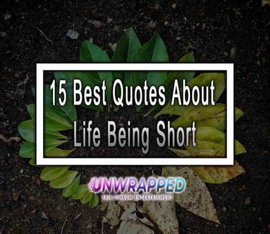 15 Best Quotes About Life Being Short