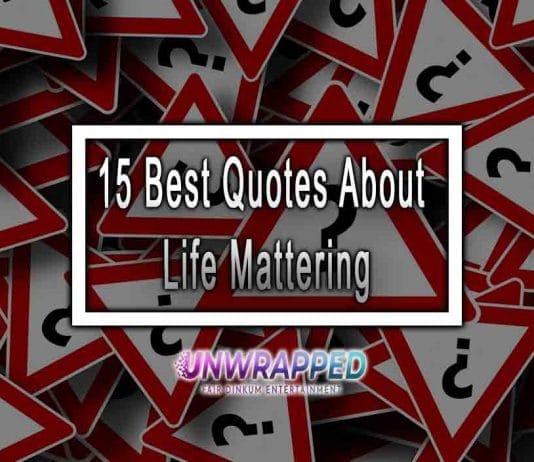 15 Best Quotes About Life Mattering