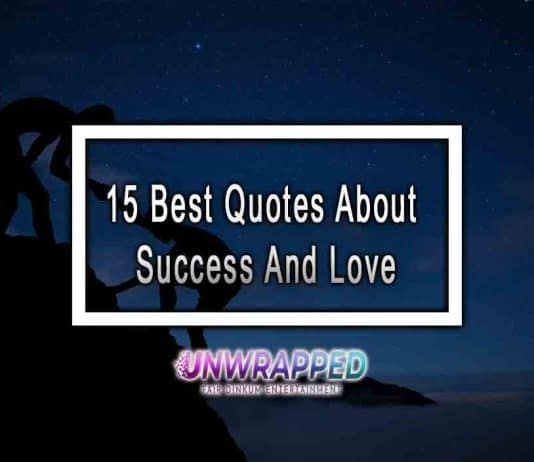 15 Best Quotes About Success And Love