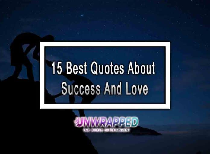 15 Best Quotes About Success And Love