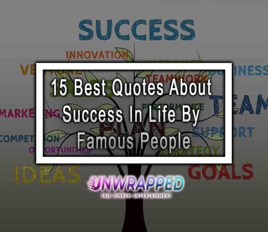 15 Best Quotes About Success In Life By Famous People