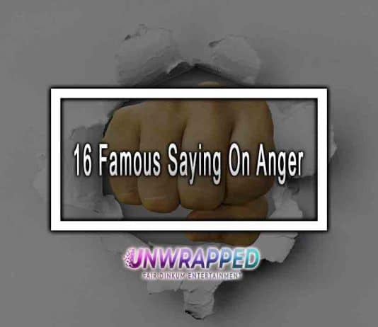 16 Famous Saying On Anger