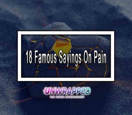 18 Famous Sayings On Pain