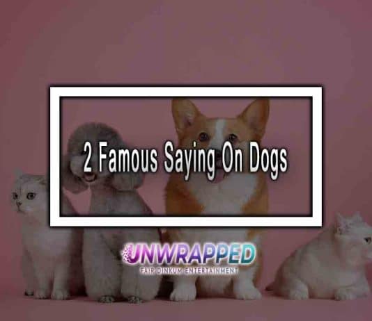 2 Famous Sayings On Dogs 2 Famous Saying On Dogs