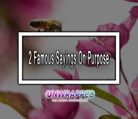 2 Famous Sayings On Purpose