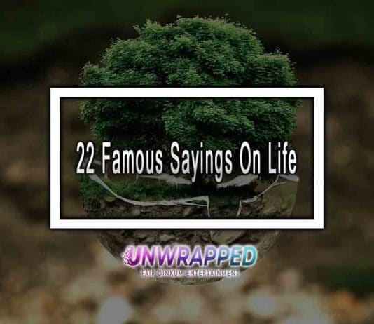 22 Famous Sayings On Life