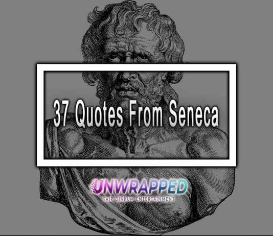 37 Quotes From Seneca