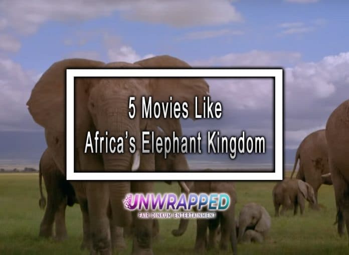 5 Movies Like Africa’s Elephant Kingdom to Watch