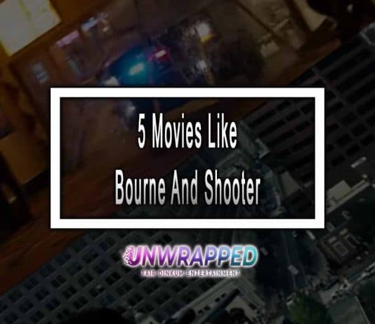 5 Movies Like Bourne And Shooter