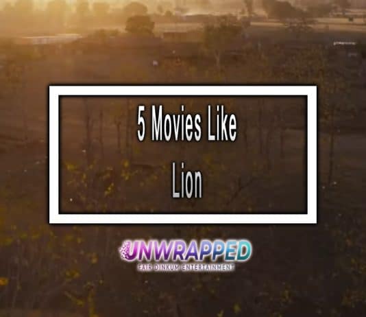 5 Movies Like Lion to Watch