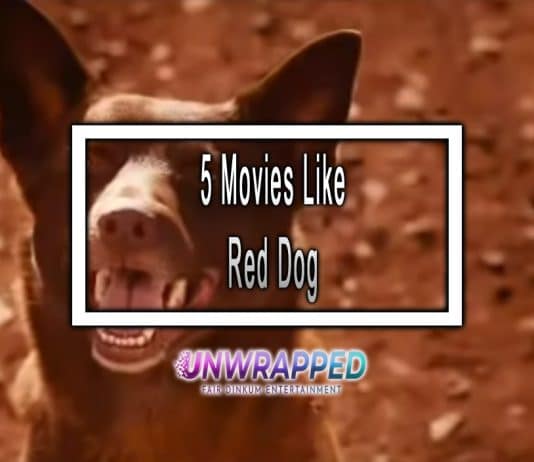 5 Movies Like Red Dog to Watch