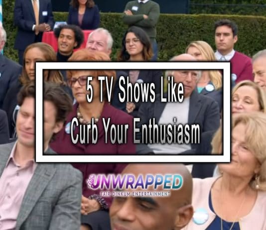 5 TV Shows Like Curb Your Enthusiasm to Watch