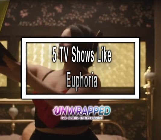 5 TV Shows Like Euphoria to Watch