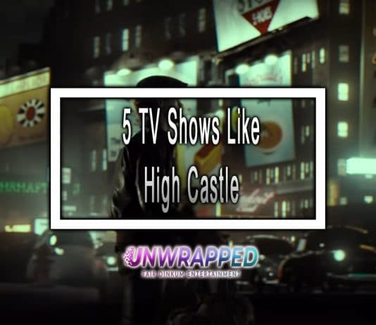 5 TV Shows Like High Castle to Watch