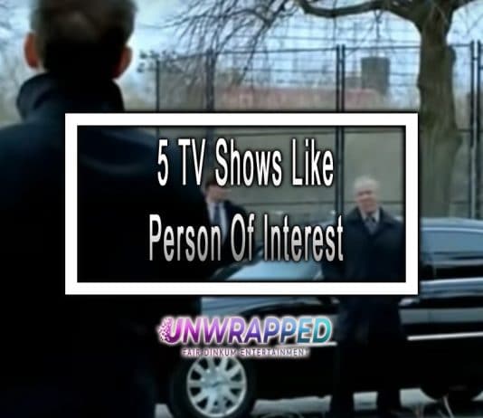 5 TV Shows Like Person Of Interest to Watch