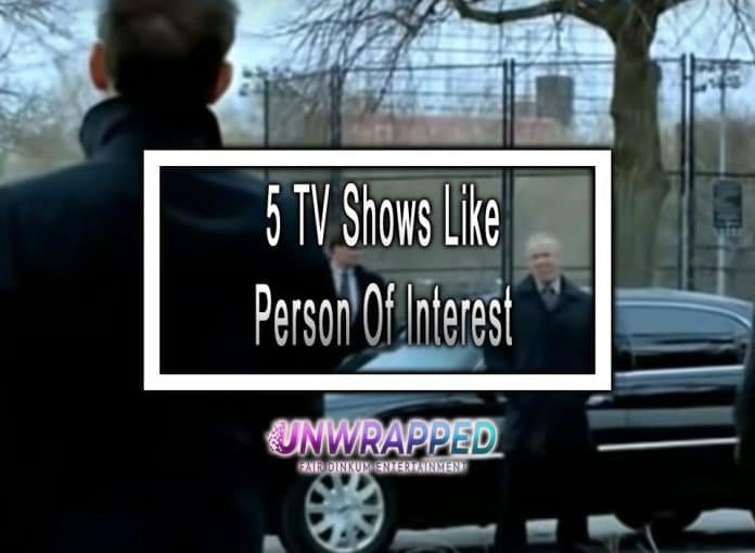 5 TV Shows Like Person Of Interest to Watch