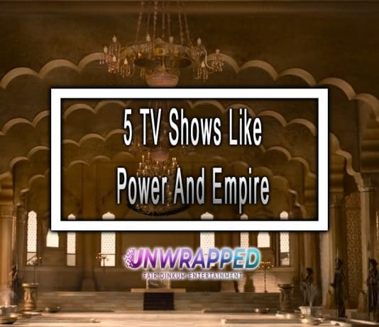 5 TV Shows Like Power And Empire to Watch
