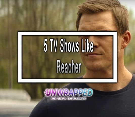 5 TV Shows Like Reacher to Watch
