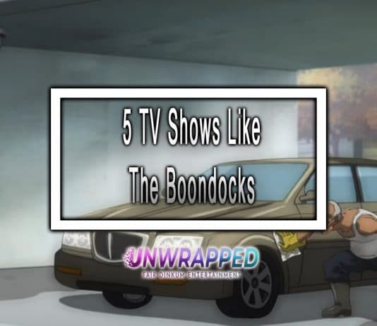 5 TV Shows Like The Boondocks to Watch