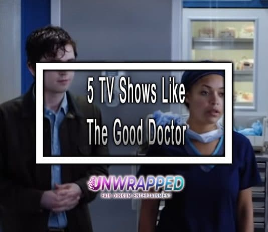 5 TV Shows Like The Good Doctor to Watch