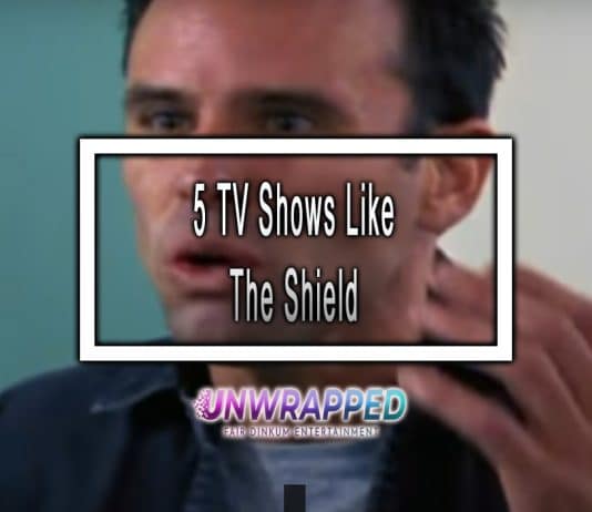5 TV Shows Like The Shield to Watch