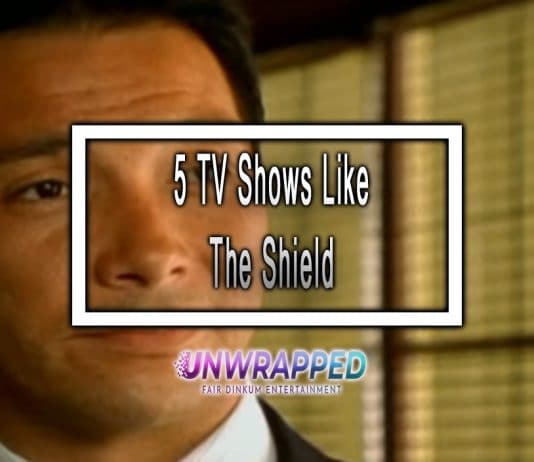 5 TV Shows Like The Shield to Watch