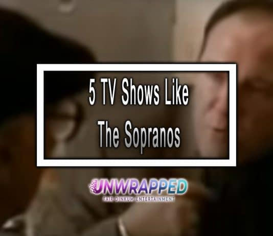 5 TV Shows Like The Sopranos to Watch