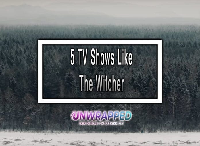 5 TV Shows Like The Witcher to Watch