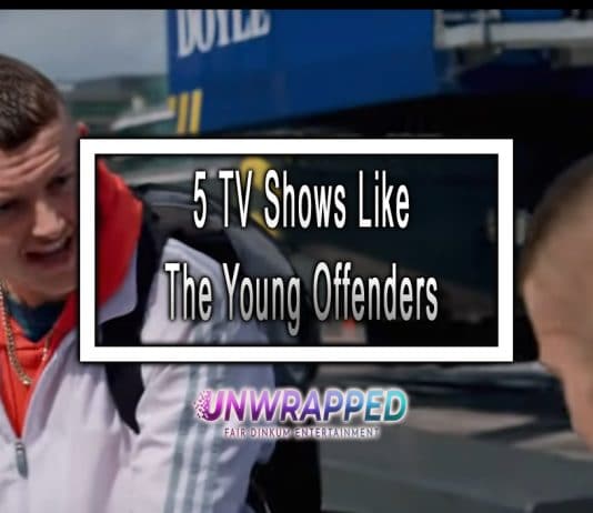 5 TV Shows Like The Young Offenders to Watch