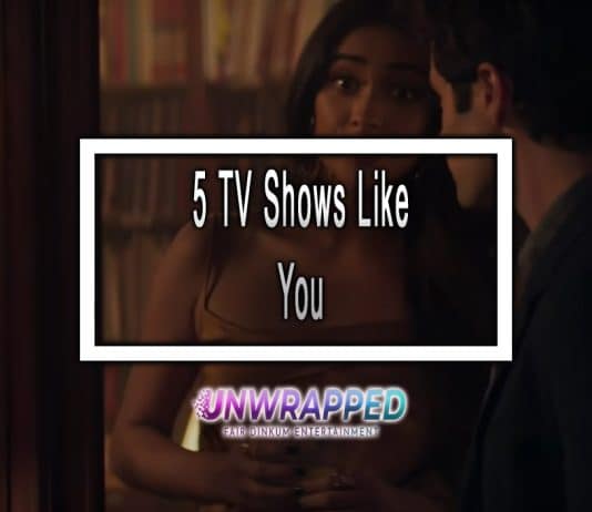 5 TV Shows Like You to Watch