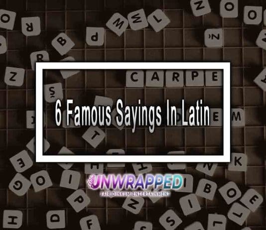 6 Famous Sayings In Latin