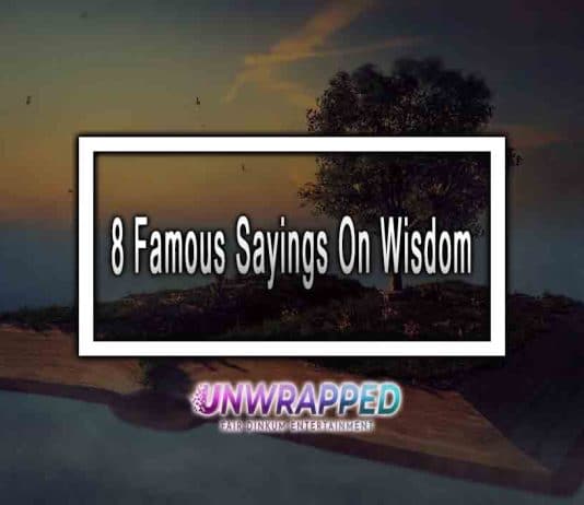 8 Famous Sayings On Wisdom