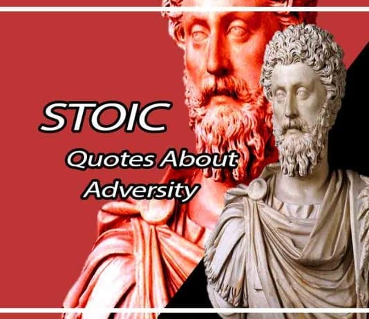 10 Stoic Quotes About Adversity For Everyday Life