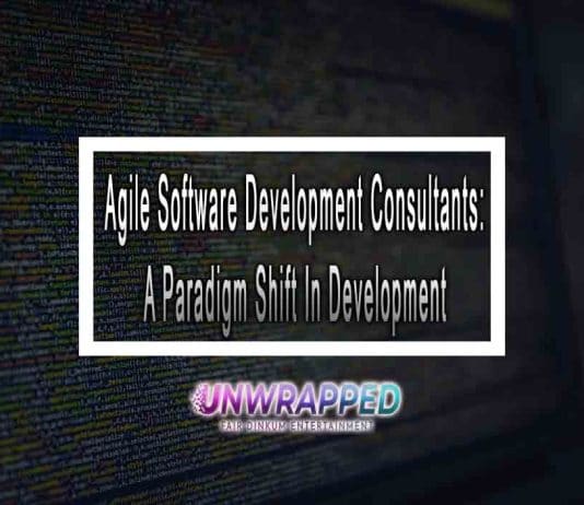 Agile Software Development Consultants: A Paradigm Shift In Development