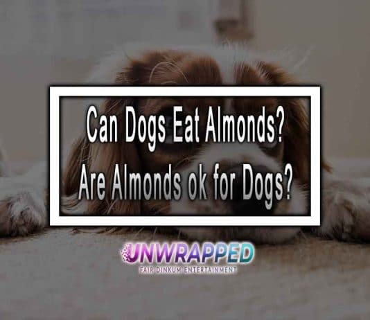 Can Dogs Eat Almonds? Are Almonds ok for Dogs?