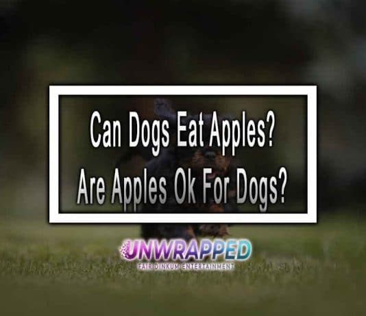 Can Dogs Eat Apples? Are Apples Ok For Dogs? Can Dogs Eat Apples? Are Apples Ok For Dogs?