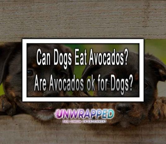 Can Dogs Eat Avocados? Are Avocados Ok For Dogs? Can Dogs Eat Avocados? Are Avocados ok for Dogs?