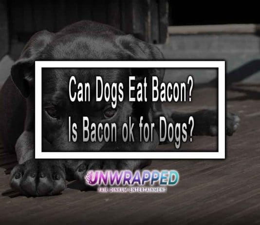 Can Dogs Eat Bacon? Is Bacon Ok For Dogs? Can Dogs Eat Bacon? Is Bacon ok for Dogs?