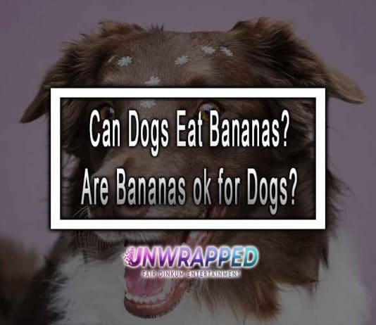 Can Dogs Eat Bananas? Are Bananas ok for Dogs? Can Dogs Eat Bananas? Are Bananas ok for Dogs?
